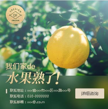 铜仁果园果林小程序开发
